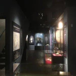 Foto de Aarhus Vikingemuseet