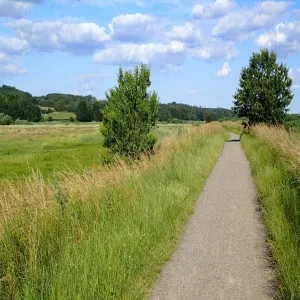 Foto de Aarslev Engso