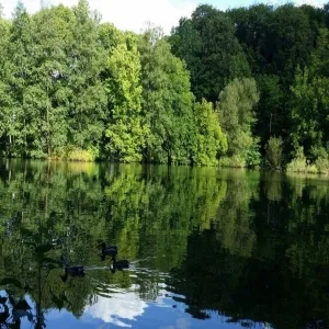 Foto de Marielundssoen