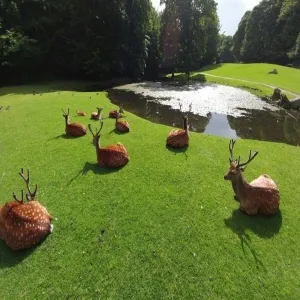 Foto de Marselisborg Deer Park
