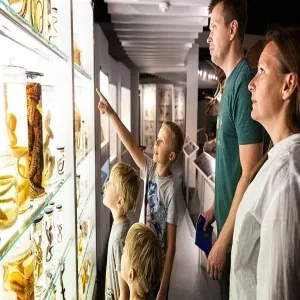 Foto de Naturhistorisk Museum