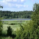 Foto 4 Aarslev Engso