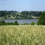Foto 5 Aarslev Engso