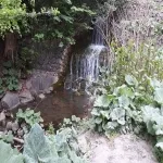 Foto 1 Moesgard Forrest