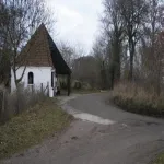 Foto 3 Moesgard Forrest