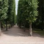 Foto 2 The Park of Music