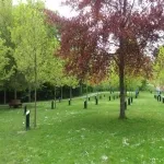 Foto 5 The Park of Music